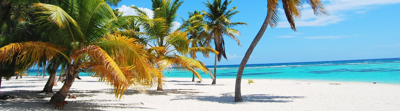 Viaggi e vacanze Caraibi