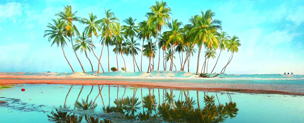 Last Minute Salalah