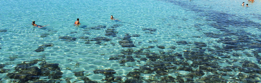 Viaggi e vacanze Lecce