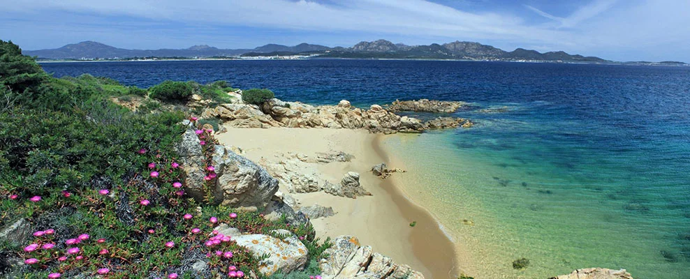 Capo Ceraso