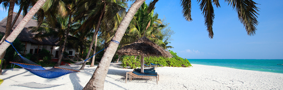 Viaggi e vacanze Zanzibar